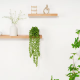 Artificial Plant